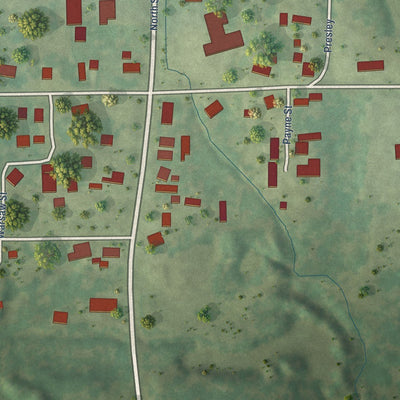 Close-up of the map of Spillertown, Illinois print showing street and building detail
