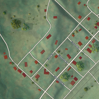 Close-up of the map of Camden, Missouri print showing street and building detail