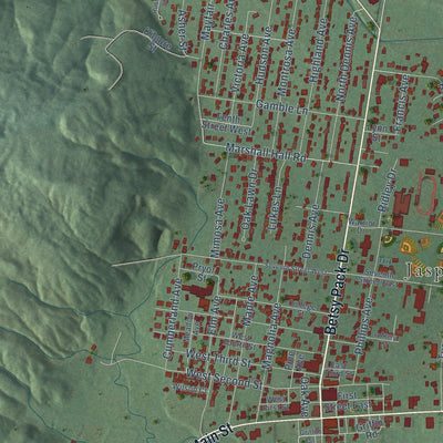 Close-up of the map of Jasper, Tennessee print showing street and building detail