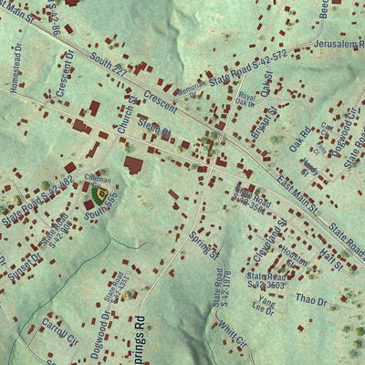Close-up of the map of Pacolet, South Carolina print showing street and building detail