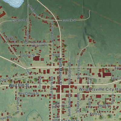 Close-up of the map of Wrightsville, Georgia print showing street and building detail