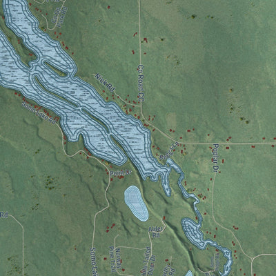 Close-up of the map of Wilson, Lincoln County, Wisconsin print showing street and building detail