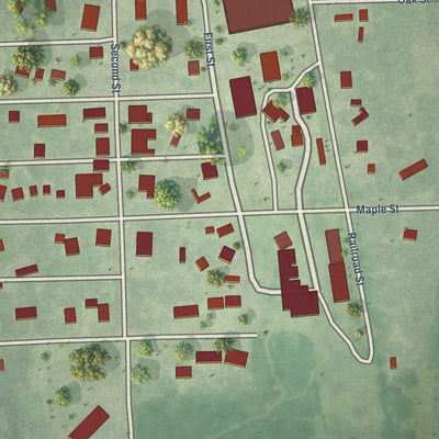 Close-up of the map of Dwight, Nebraska print showing street and building detail