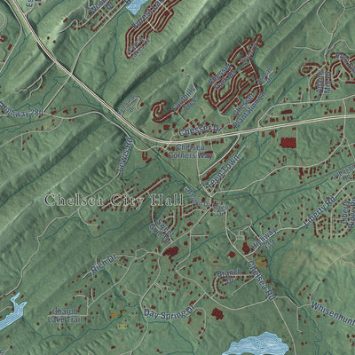 Close-up of the map of Chelsea, Alabama print showing street and building detail