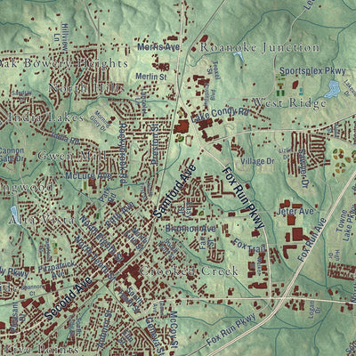 Close-up of the map of Opelika, Alabama print showing street and building detail