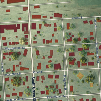 Close-up of the map of Piper City, Illinois print showing street and building detail