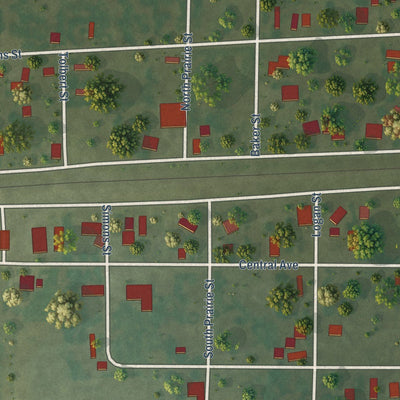 Close-up of the map of Sims, Illinois print showing street and building detail