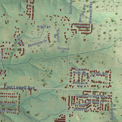 Close-up of the map of Cave Springs, Arkansas print showing street and building detail