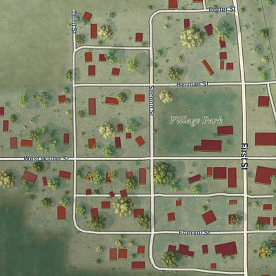 Close-up of the map of Strawn, Illinois print showing street and building detail