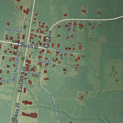 Close-up of the map of Slaughter, Louisiana print showing street and building detail