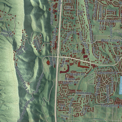 Close-up of the map of Dalton, Georgia print showing street and building detail