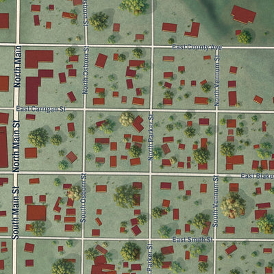 Close-up of the map of Palisade, Nebraska print showing street and building detail