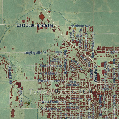 Close-up of the map of Taylorville, Illinois print showing street and building detail