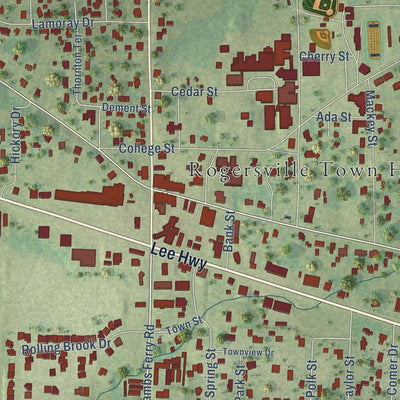 Close-up of the map of Rogersville, Alabama print showing street and building detail