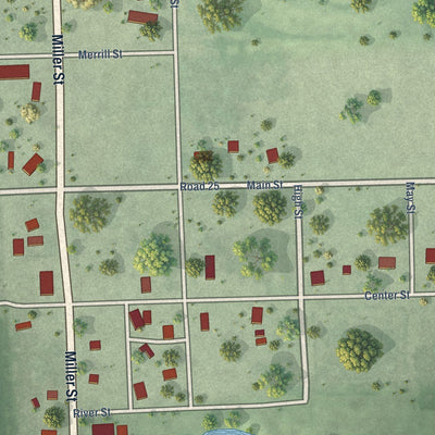 Close-up of the map of Surprise, Nebraska print showing street and building detail