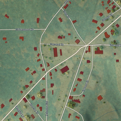Close-up of the map of Williamson, Georgia print showing street and building detail