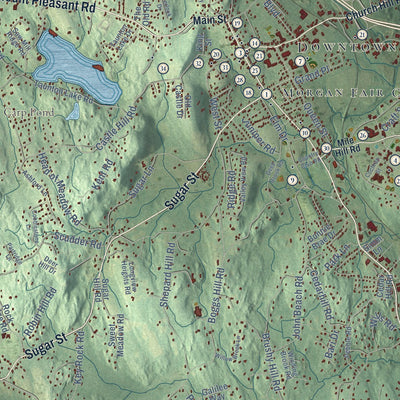Close-up of the map of Newtown, Connecticut print showing street and building detail