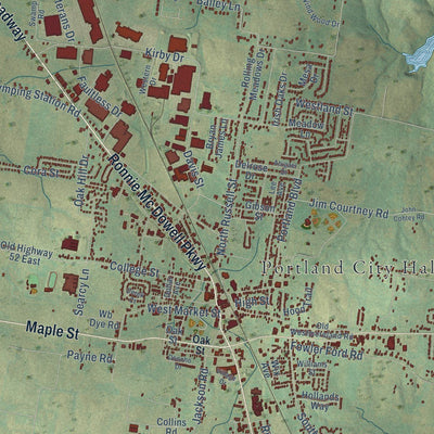 Close-up of the map of Portland, Tennessee print showing street and building detail