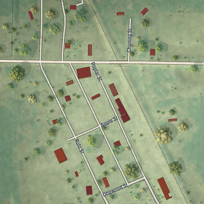 Close-up of the map of Bigelow, Missouri print showing street and building detail