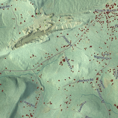 Close-up of the map of Alsace, Pennsylvania print showing street and building detail