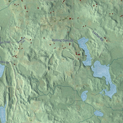 Close-up of the map of Dryden, Lapeer County, Michigan print showing street and building detail