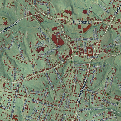 Close-up of the map of Laurens, South Carolina print showing street and building detail