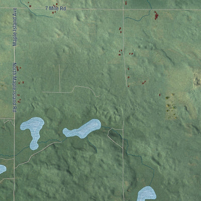 Close-up of the map of Beaver, Newaygo County, Michigan print showing street and building detail