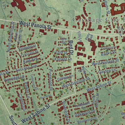 Close-up of the map of Carthage, Texas print showing street and building detail
