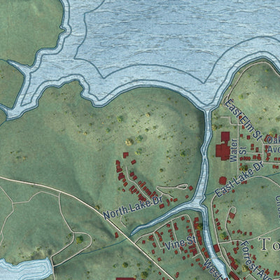 Close-up of the map of Medicine Park, Oklahoma print showing street and building detail