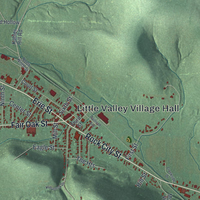 Close-up of the map of Little Valley, New York print showing street and building detail