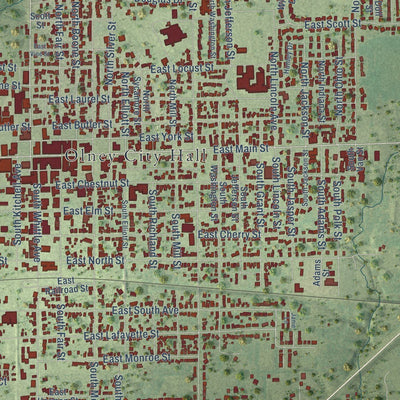 Close-up of the map of Olney, Illinois print showing street and building detail