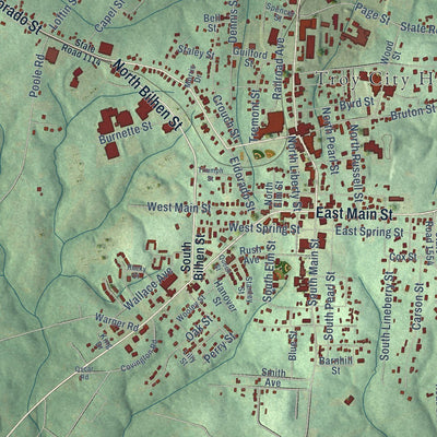 Close-up of the map of Troy, North Carolina print showing street and building detail