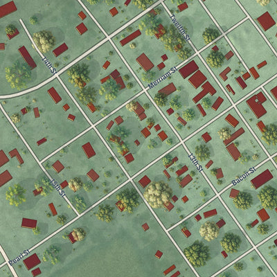 Close-up of the map of Elba, Nebraska print showing street and building detail