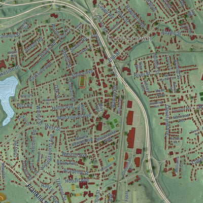 Close-up of the map of Braintree, Massachusetts print showing street and building detail