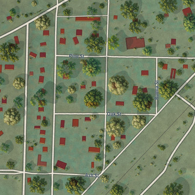 Close-up of the map of Wasta, South Dakota print showing street and building detail