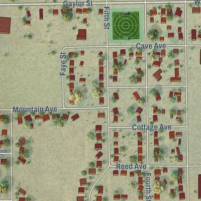 Close-up of the map of Pierce, Colorado print showing street and building detail