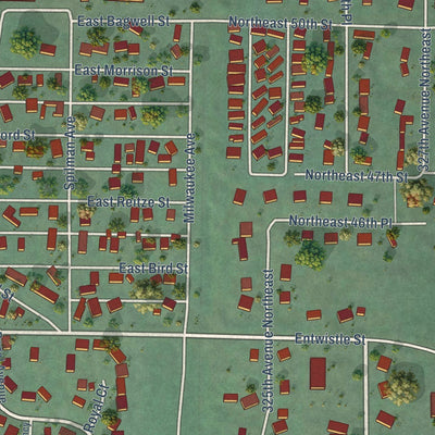 Close-up of the map of Carnation, Washington print showing street and building detail