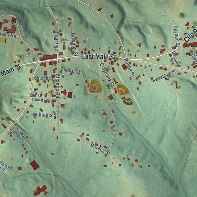 Close-up of the map of Ariton, Alabama print showing street and building detail