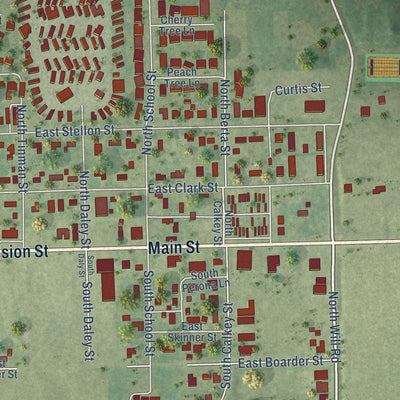 Close-up of the map of Diamond, Illinois print showing street and building detail