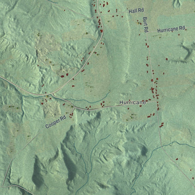 Close-up of the map of Norway, New York print showing street and building detail