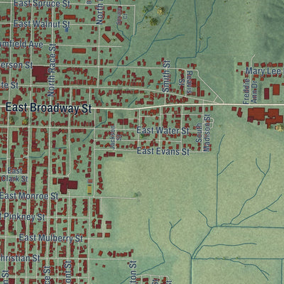 Close-up of the map of Princeton, Indiana print showing street and building detail