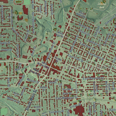 Close-up of the map of Adrian, Michigan print showing street and building detail