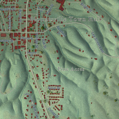 Close-up of the map of Blountsville, Alabama print showing street and building detail