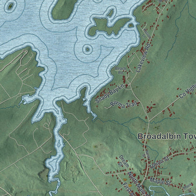 Close-up of the map of Broadalbin, New York print showing street and building detail