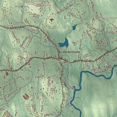 Close-up of the map of Norwell, Massachusetts print showing streets and neighborhoods