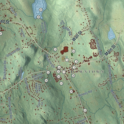 Close-up of the map of Hebron, Connecticut print showing street and building detail