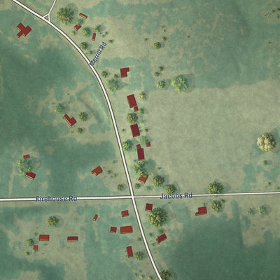 Close-up of the map of Carolina, Alabama print showing street and building detail