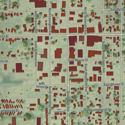 Close-up of the map of Le Center, Minnesota print showing street and building detail
