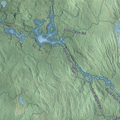 Close-up of the map of Watson, New York print showing street and building detail