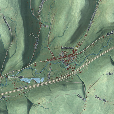 Close-up of the map of Maryland, New York print showing street and building detail